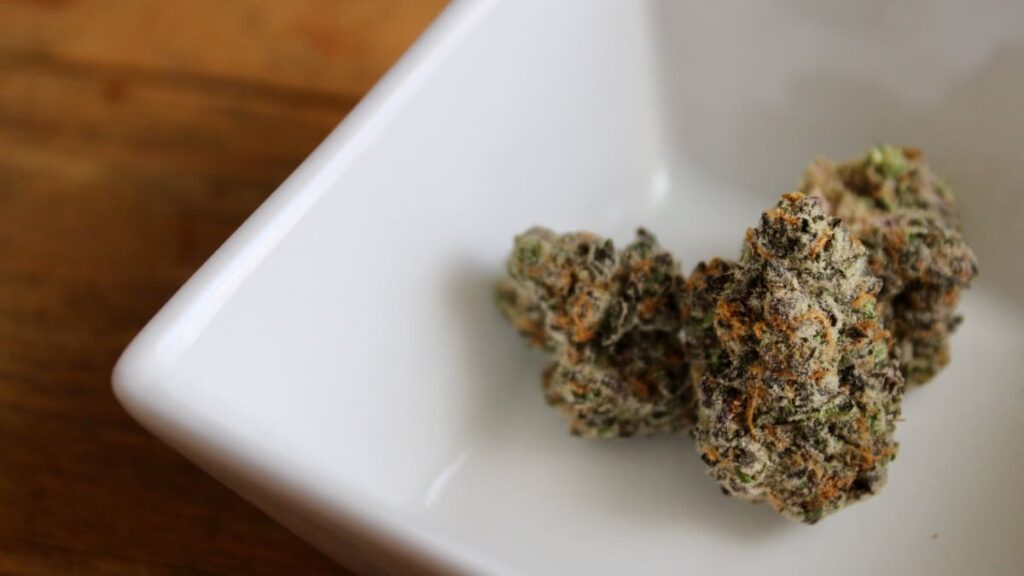 que es el THC en los cogollos de cannabis