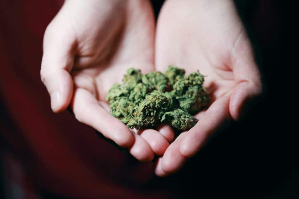 marihuana medicinal españa