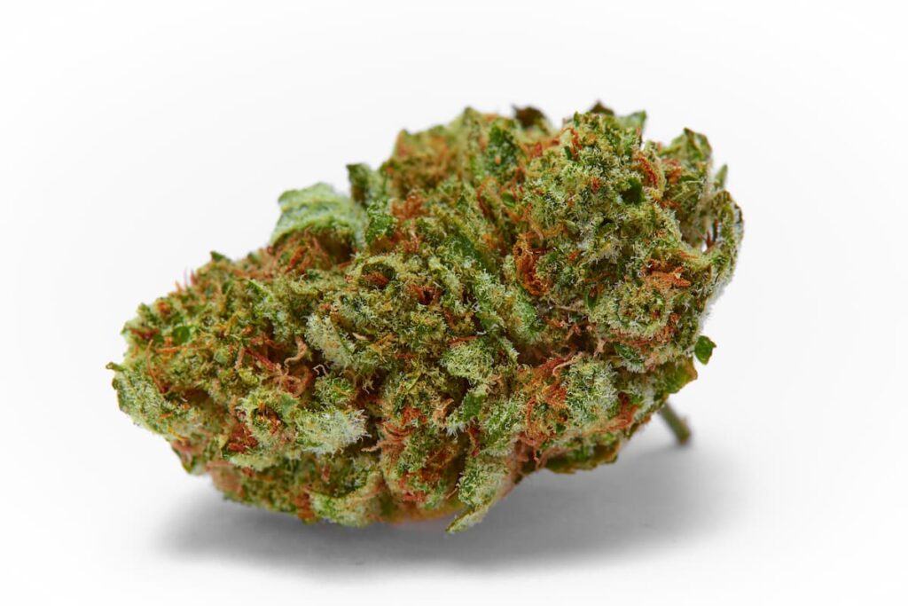 tipos de cannabis y sus efectos