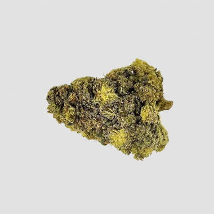 LEMON HAZE NL1