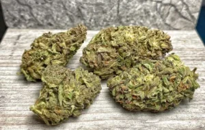 ORANGE NL1