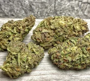 ORANGE NL1
